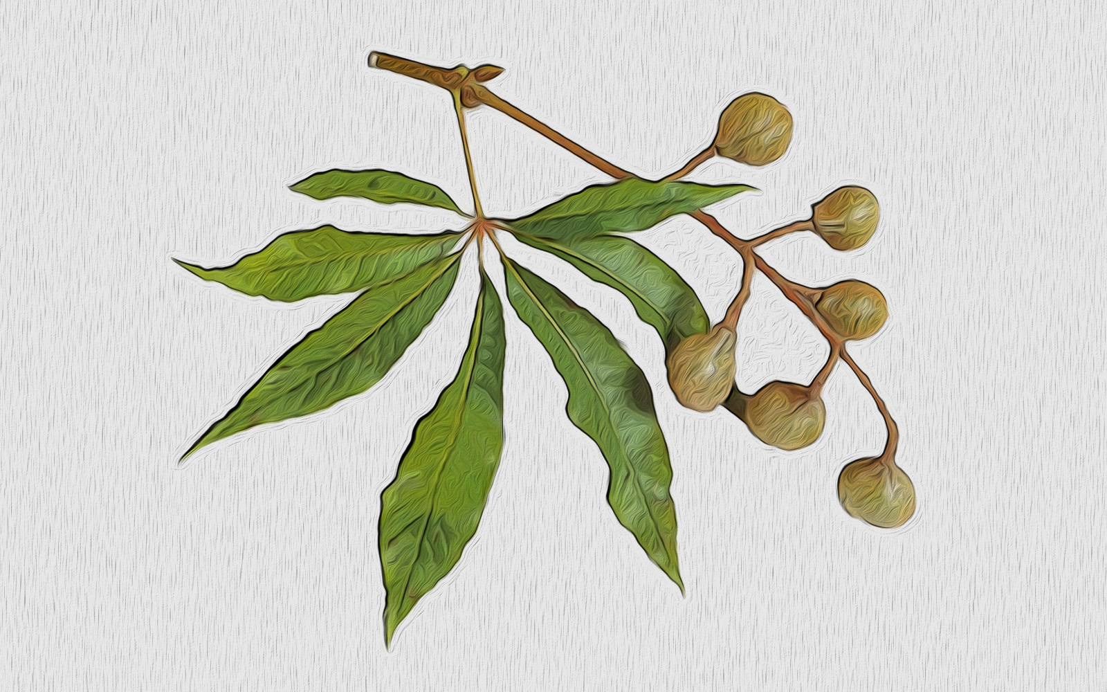 Royal Holloway University of London