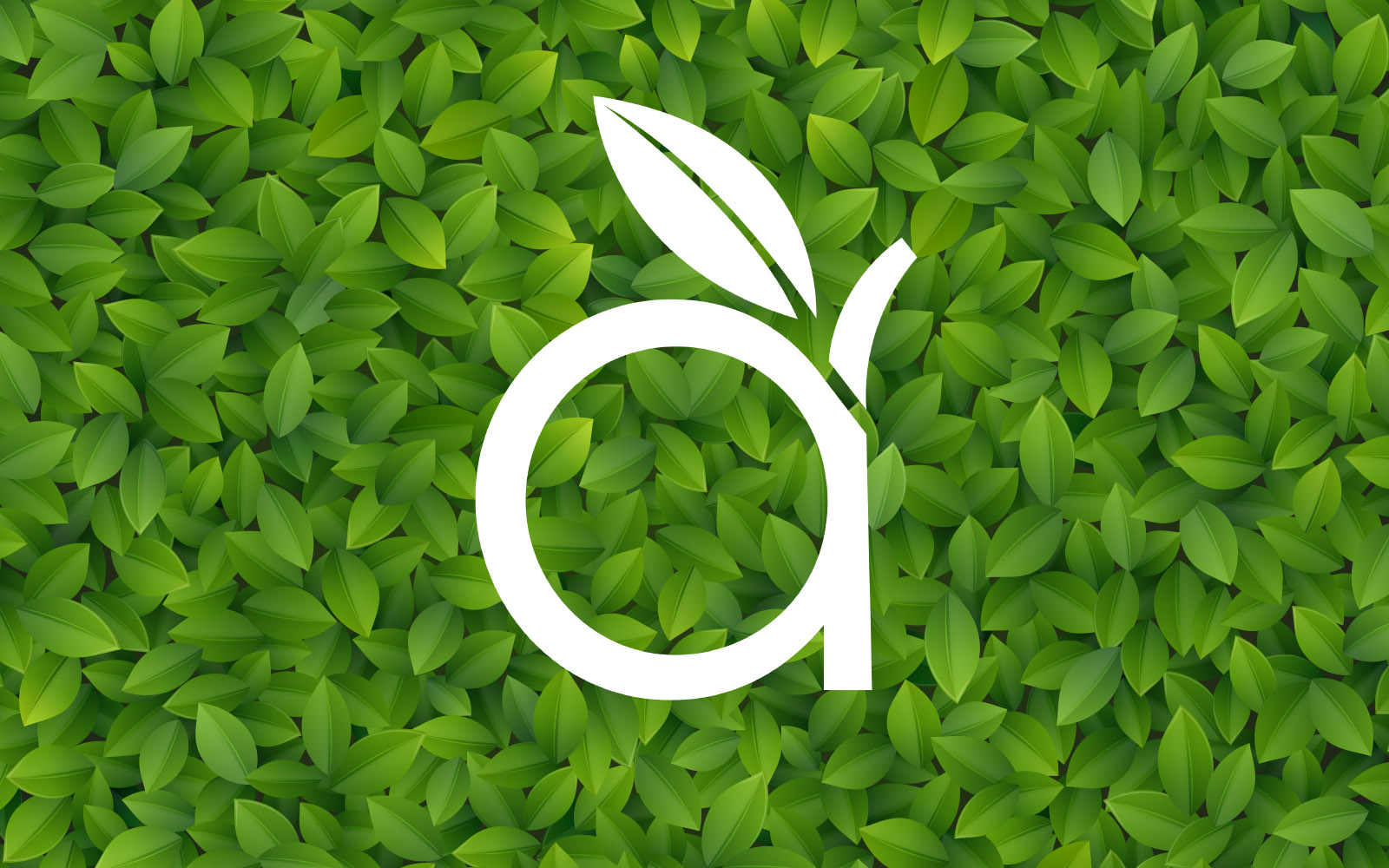 Bramley Apple Garden Design